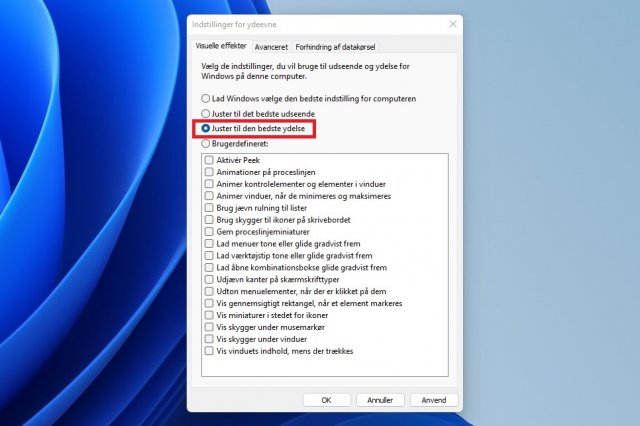 Billede: Screenshot af Windows indstillinger for ydeevne