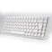 Akkogear 3084B Akko CS Jelly Trdls Tastatur m/RGB (Mekanisk)