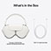 Apple AirPods Max 2020 Gen. 1 (MGYJ3ZM/A) Slv