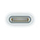 Apple USB-C til Apple Pencil Adapter (MQLU3ZM/A)