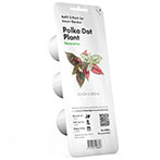 Click and Grow Smart Garden Refill (Polka Dot Plant) 3pk