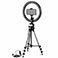 Cullmann Alpha 1000 Vlogging Kit m/Bluetooth (USB-A)