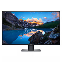 Dell UltraSharp U4320Q 42,5tm LCD - 3840x2160/60Hz - IPS, 8ms