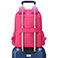 Delsey Legere Laptop rygsk 15,6tm (RFID) Pink
