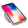 GreyLime iPhone X/XS Cover (bionedbrydelig) Beige