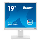 Iiyama B1980D-W5 19tm - 1280x1024/60Hz - TN, 5ms