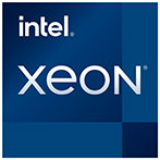 Intel S1200 Xeon E-2336 Tray CPU - 2,9 GHz 6 kerner - Intel LGA 1200