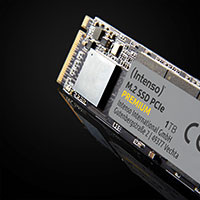 Intenso Premium SSD Hardisk 500GB - M.2 PCle 3.0 (NVMe)