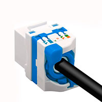 Keystone Connector - UTP Cat6a (Toolless) Net-Com
