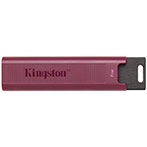 Kingston DataTraveler USB 3.2 Nøgle (1TB)