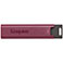Kingston DataTraveler USB 3.2 Ngle (1TB)
