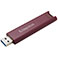 Kingston DataTraveler USB 3.2 Ngle (256GB)