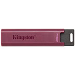 Kingston DataTraveler USB 3.2 Nøgle (256GB)