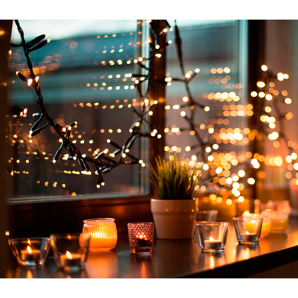 skitse Modish Enkelhed LED lyskæde udendørs - 20m (160 LED) Nordic Home - Køb online
