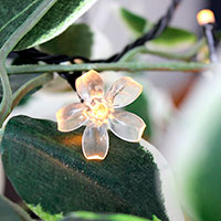 LightsOn Flower lysdekoration (Glimmer/Tundra/Taiga) 100 stk