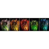 LightsOn Medusa havespot m/farvefilter 8W (560lm)