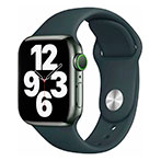 Lippa Silikone Rem t/Apple Watch (38/40/41) Mrkegrn
