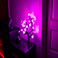 Lite Bulb Moments Smart RGB Cherry Blossom Tree Lampe (10W)