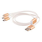 Multikabel 1m (USB-C/Lightning/Micro-USB) Guld/Hvid - Epzi