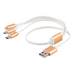 Multikabel 50cm (USB-C/Lightning/Micro-USB) Guld/Hvid - Epzi