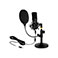 Podcasting/Gaming Mikrofon m/tilbehr (USB-A) Delock