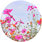 Popsockets PopGrip - Fuschia Blooms