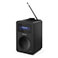 Sharp DR-430(BK) Digital Radio (FM/DAB/DAB+/Bluetooth) Midnight Black