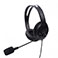 Tellur PCH2 Basic Over-Ear Headset m/mikrofon (USB)