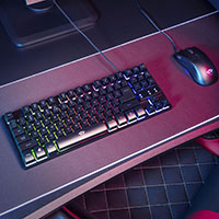 Trust GXT 833 THADO TKL RGB Gaming Tastatur (Membran)