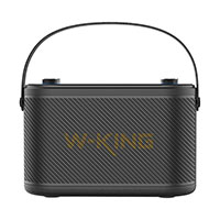 W-King H10 Bluetooth Hjttaler m/2x Mikrofon (120W) Sort