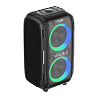 W-King T9 Pro Bluetooth Hjttaler m/2x Mikrofon + RGB (120W) Sort