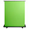 Wistream Green Screen m/stativ (150x191cm)